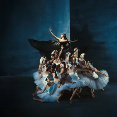 Introdans – Swan Lake