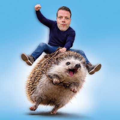 Martijn Koning – Overprikkeld